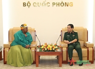 Defense Minister receives South African Ambassador to Vietnam